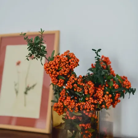 Apartament The House Around The Corner *